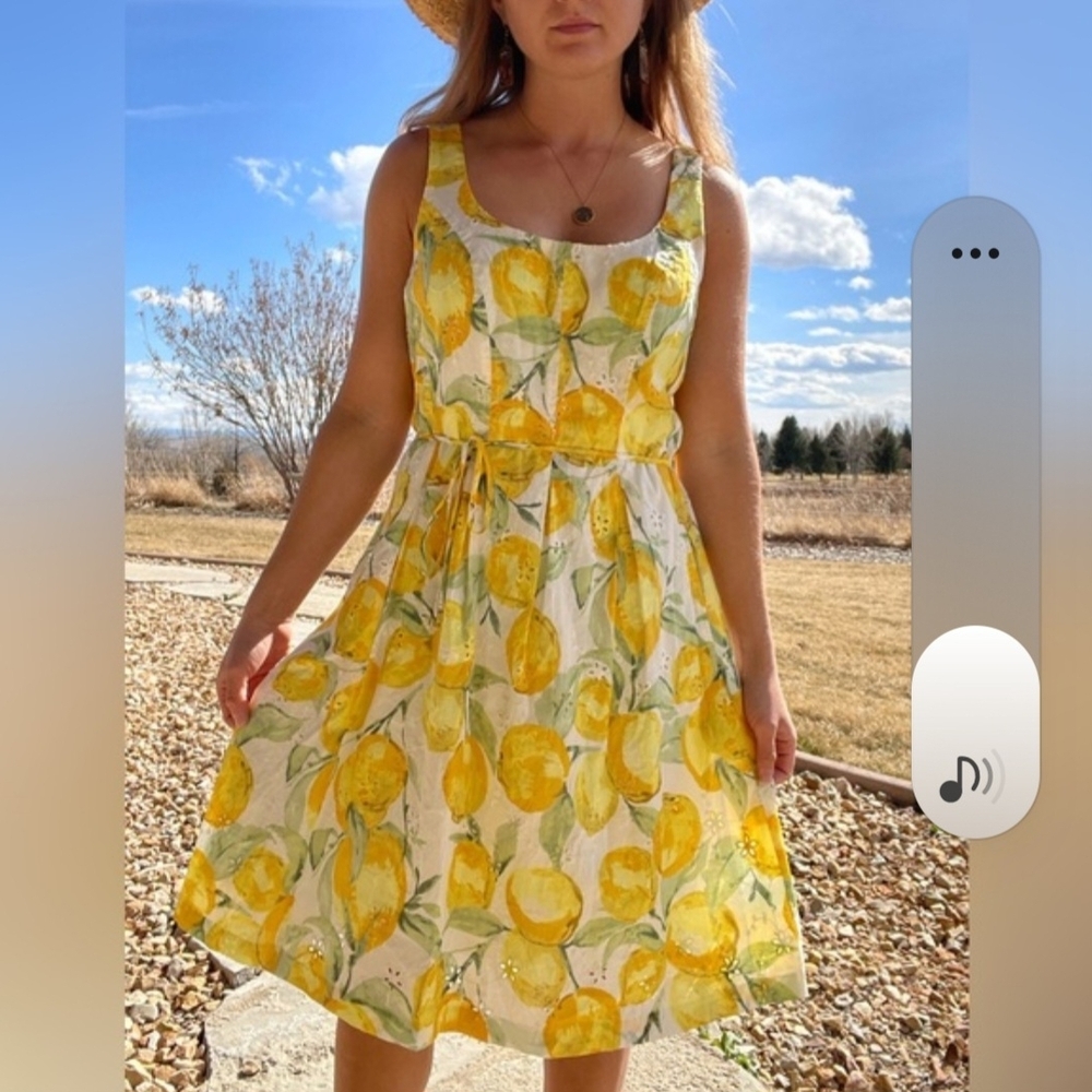 Pappagallo Lemon Print Midi Dress